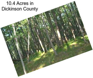 10.4 Acres in Dickinson County