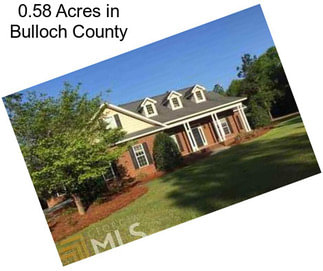 0.58 Acres in Bulloch County