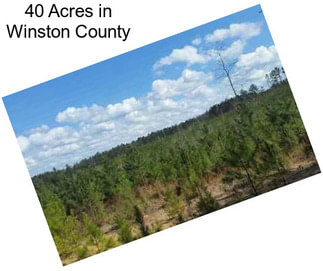 40 Acres in Winston County