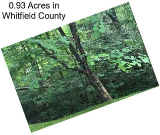 0.93 Acres in Whitfield County