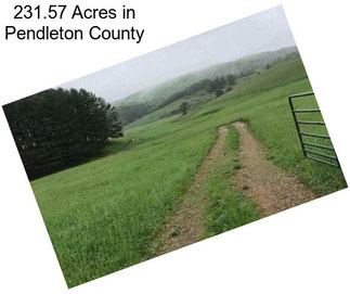 231.57 Acres in Pendleton County