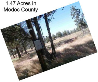 1.47 Acres in Modoc County