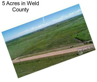 5 Acres in Weld County