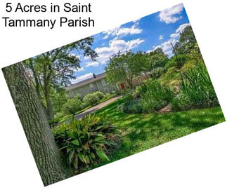 5 Acres in Saint Tammany Parish