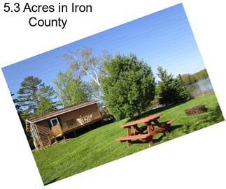 5.3 Acres in Iron County