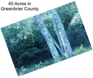 40 Acres in Greenbrier County