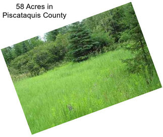 58 Acres in Piscataquis County