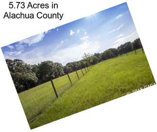 5.73 Acres in Alachua County
