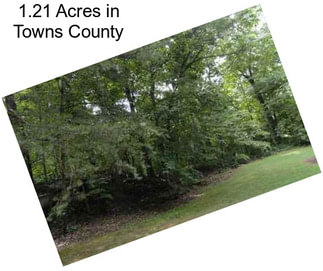 1.21 Acres in Towns County