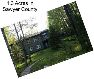 1.3 Acres in Sawyer County