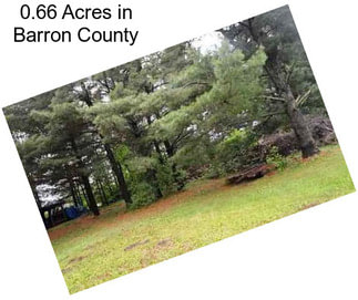0.66 Acres in Barron County