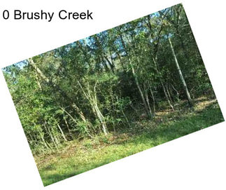 0 Brushy Creek