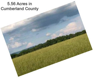 5.56 Acres in Cumberland County