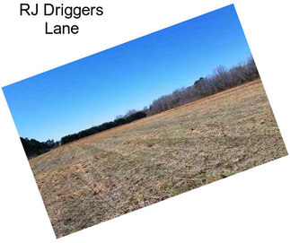 RJ Driggers Lane