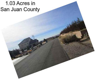 1.03 Acres in San Juan County