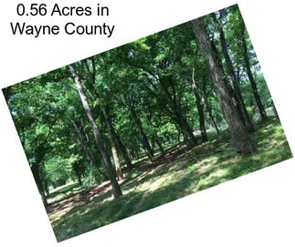 0.56 Acres in Wayne County