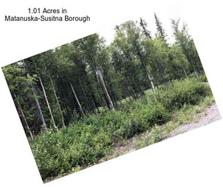 1.01 Acres in Matanuska-Susitna Borough