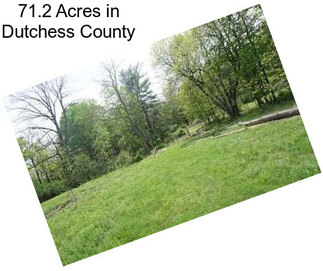 71.2 Acres in Dutchess County