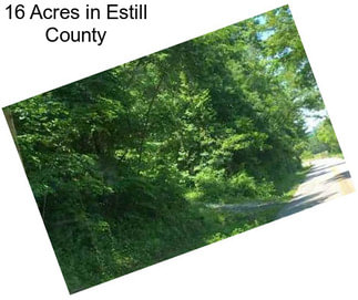 16 Acres in Estill County