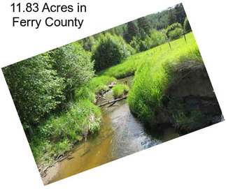 11.83 Acres in Ferry County