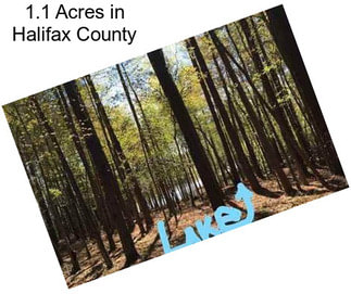 1.1 Acres in Halifax County