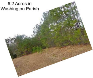 6.2 Acres in Washington Parish