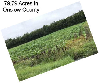 79.79 Acres in Onslow County