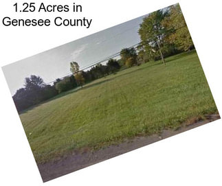 1.25 Acres in Genesee County