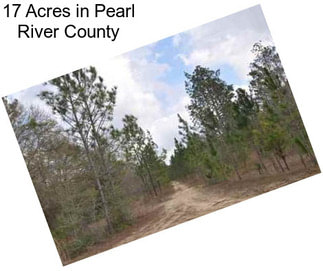 17 Acres in Pearl River County