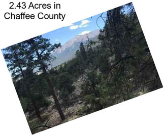 2.43 Acres in Chaffee County