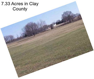 7.33 Acres in Clay County