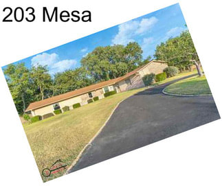 203 Mesa