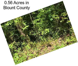 0.56 Acres in Blount County