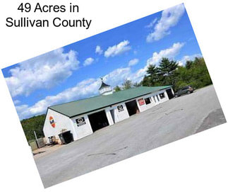 49 Acres in Sullivan County