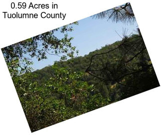 0.59 Acres in Tuolumne County