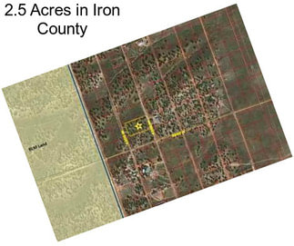 2.5 Acres in Iron County