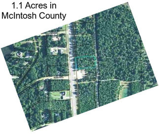 1.1 Acres in McIntosh County