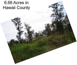 6.68 Acres in Hawaii County