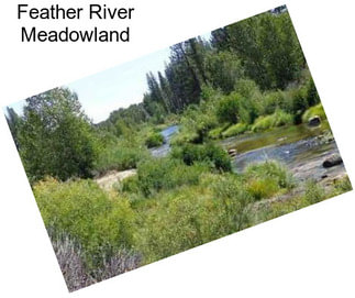 Feather River Meadowland