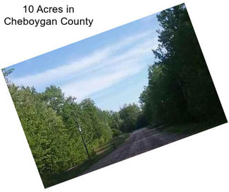 10 Acres in Cheboygan County