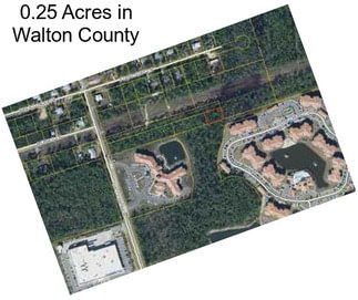 0.25 Acres in Walton County