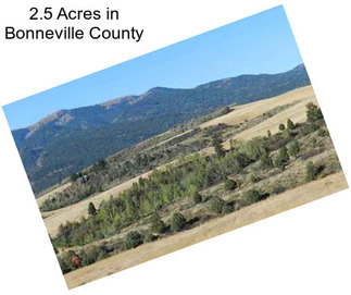 2.5 Acres in Bonneville County