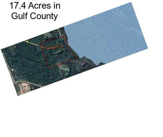 17.4 Acres in Gulf County