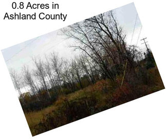 0.8 Acres in Ashland County