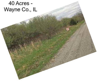 40 Acres - Wayne Co., IL