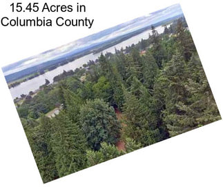 15.45 Acres in Columbia County