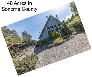 40 Acres in Sonoma County