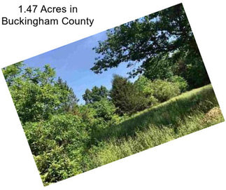 1.47 Acres in Buckingham County