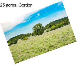 25 acres, Gordon