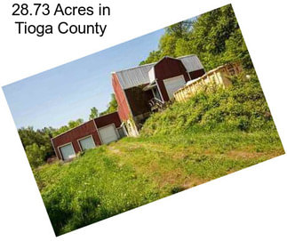 28.73 Acres in Tioga County